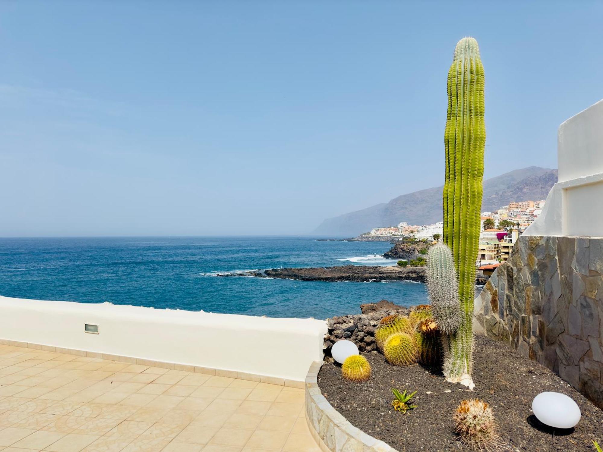 Beachfront Villa And Pool Puerto de Santiago  Kültér fotó